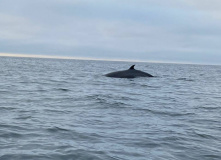 Териберка, Вместе с северным ветром: в Териберку с детьми