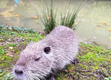 Кавказ, Семейный лагерь в Красной поляне