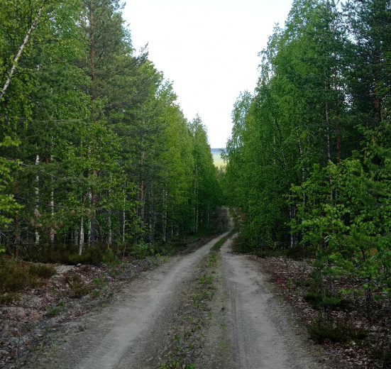 Карелия, Велопоход. Тайны Воттоваары