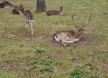 Беларусь, Страна замков: Беларусь на неделю