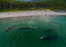 Дальний Восток, Шантарские острова: в поисках мечты (разведка)