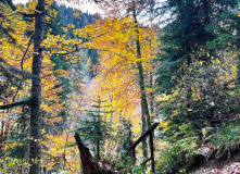 Кавказ, Семейный лагерь в Красной поляне