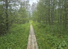 Северо-Запад, Царство болот: красоты Полистовского заповедника (разведка)