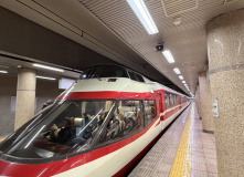 Япония, Японские Альпы. Горнолыжный + культурный тур (разведка)