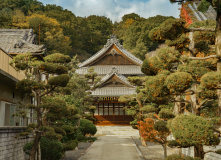 Япония, К пальмам и горячим пескам (разведка)