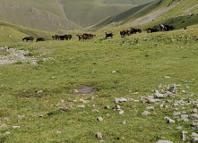 Кавказ, Голубоглазая Теберда. Путешествие для родителей и детей