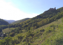Франция, Винная дорога Эльзаса (разведка)