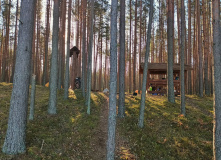 Северо-Запад, В Сяберский заказник на велосипеде