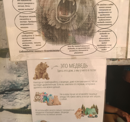 Байкал, Бурятия. Семейная экспедиция в Медвежьи угодья