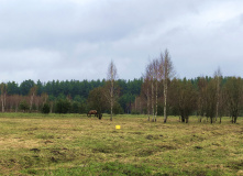 Подмосковье, Пеший поход "Затерянные тропы Гуслицкой волости"