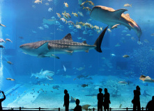 Япония, Японская кругосветка