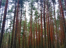 Северо-Запад, Ладожские экотропы