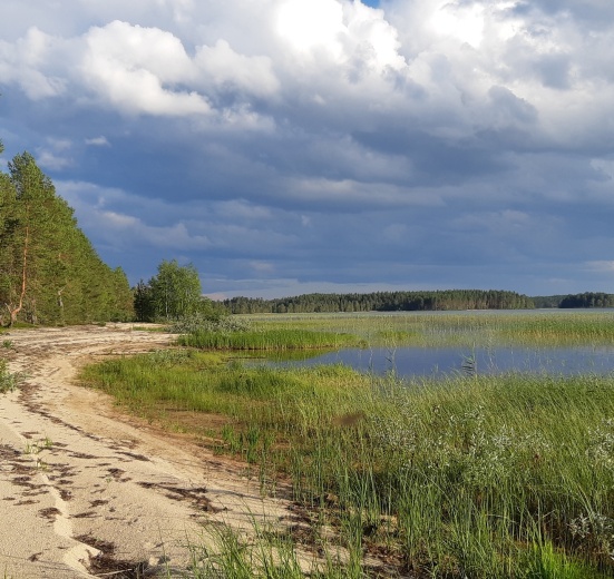 Линдозеро ,Суна
