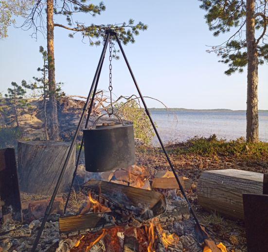 Летний берег Белого моря: Онежское Поморье