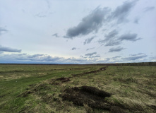 Подмосковье, Пеший поход "Затерянные тропы Гуслицкой волости"