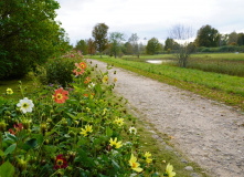 Северо-Запад, Золото осенних дорог: велотур в Пушкинские горы