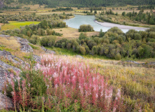Алтай, Путешествие в сердце Алтая