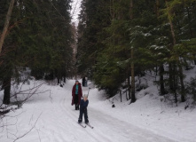 Северо-Запад, Моя первая лыжня. Золотая долина и Еловые холмы с детьми