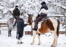 Подмосковье, Конный экотур с фотосессией «Танцы с волками» (Тверская область)