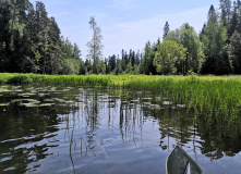 Северо-Запад, Оредеж — прогулка на байдарках (1 день)