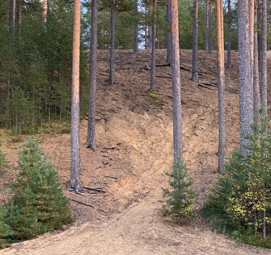 По следам Лыжной Стрелы