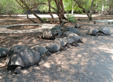 Центральная и Южная Америка, От вулканов до океана. Большой тур по Эквадору и Галапагосам