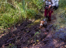 Подмосковье, Пеший поход «Пантелеево болото да река Сестра»
