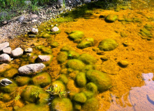 Подмосковье, Лесной лагерь с детьми на Валдае (Новгородская область)