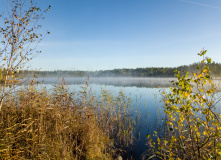 Подмосковье, Шёпот мещёрских лесов да гладь озёр