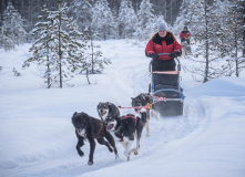 Карелия, Снежное сафари: мультитур в Карелии