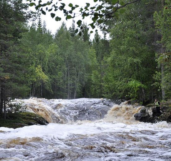 Сплав по реке Шуя Беломорская