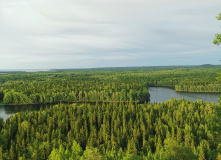 Русский Север, По Соловкам без рюкзаков