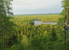 Русский Север, Соловецкие Острова в Белом Море (экскурсии + поход)