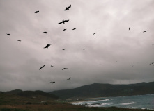 Испания, Пешком из Португалии в Испанию: Камино де Сантьяго