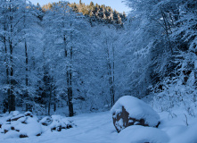 Кавказ, Зимний кемпинг у Скалистого хребта: трекинги налегке с ночёвками в палаточных домах