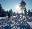 Подмосковье, Лыжный поход «Лесная зимняя сказка» (Подмосковье)