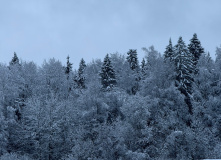 Подмосковье, Однодневный пеший поход в усадьбу Мураново