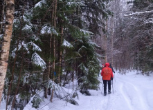 Подмосковье, Кругами к Зосимовой пустыни (с элементами разведки)