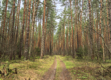 Подмосковье, Пеший поход "Затерянные тропы Гуслицкой волости"