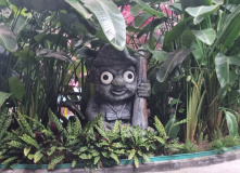 Китай, Китай и острова Владивостока (разведка)