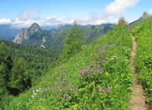 Кавказ, Адыгейское путешествие через Большой и Малый Тхач