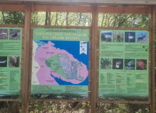 Кольский, Русская Лапландия: Тропа викинга и Лапландский заповедник (разведка)