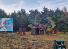 Китай, Китай и острова Владивостока (разведка)