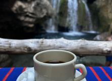 Марокко, Все цвета королевства контрастов