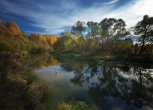 Подмосковье, Однодневный сплав по реке Москва под Звенигородом на байдарках