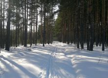 Подмосковье, Лыжный поход в Никола-Ленивец