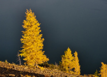 Плато Путорана, Фототур по плато Путорана — осень на озере Лама