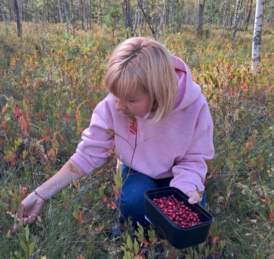 В лес за клюквой
