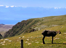 Киргизия, Лакшери Тянь-Шань: горы и пляж
