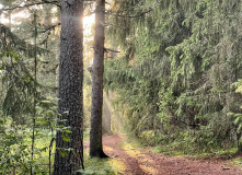 Селигер, Дикий Селигерский край - водный поход